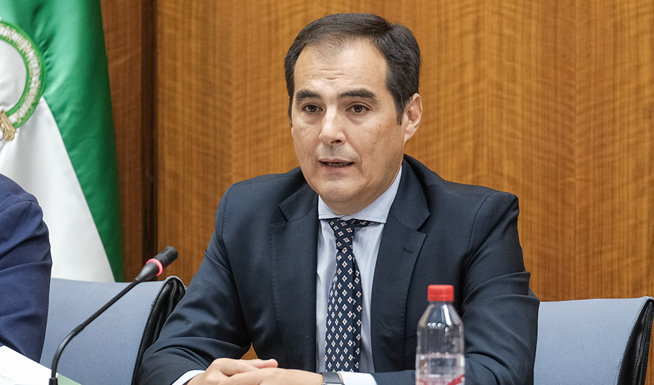 José Antonio Nieto, consejero de Justicia, durante su intervención en la Comisión de Justicia del Parlamento de Andalucía.